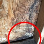 Home Inspection Example