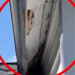 Home Inspection Example