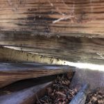 Home Inspection Example