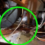 home inspection