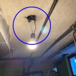home inspection